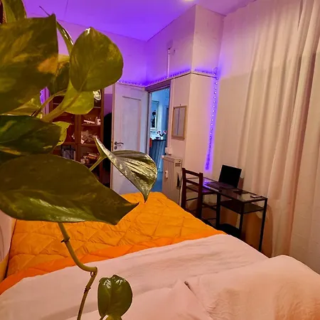 Guest house Romoli And *